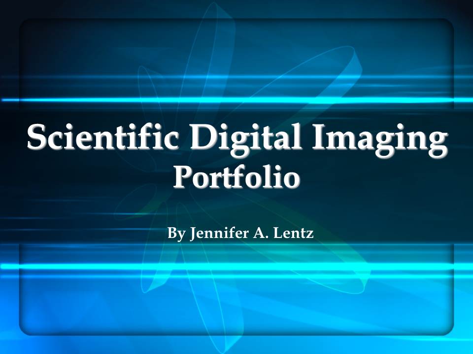 Scientific Digital Imaging Portfolio